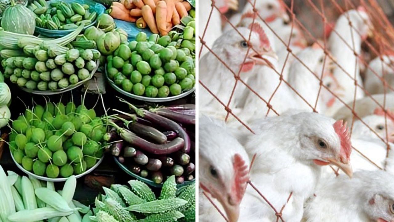 সবজির সঙ্গে পাল্লা দিয়ে বাড়ছে মুরগির দাম, স্বস্তি কেবল ডিমে